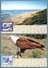 AUSTRALIA 1999 Fauna & Flora (3rd Series): Set Of 5 Maximum Cards CANCELLED - Maximumkarten (MC)