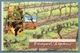 AUSTRALIA 1992 Vineyard Regions: Presentation Pack UM/MNH - Presentation Packs