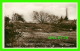 ASHDOWN FOREST,  UK - GOLF LINKS - RAPHAEL TUCK &amp; SONS, LTD - F. R. - REAL PHOTOGRAPH - - Autres & Non Classés