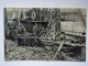 NORVEGIA NORGE Sildefiske Fish Fisherman Old Postcard - Norvegia