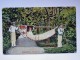 PORTOGALLO PORTUGAL Madeira Hammock Old Postcard - Madeira