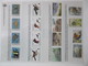 Delcampe - FAUNA 375 Sets Of WWF AND ENDANGERED WILDLIFE COLLECTION IN 3 NICE ALBUMS ! Ndw PF/MNH - Butterflies