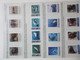 Delcampe - FAUNA 375 Sets Of WWF AND ENDANGERED WILDLIFE COLLECTION IN 3 NICE ALBUMS ! Ndw PF/MNH - Farfalle