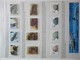 Delcampe - FAUNA 375 Sets Of WWF AND ENDANGERED WILDLIFE COLLECTION IN 3 NICE ALBUMS ! Ndw PF/MNH - Farfalle