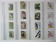 Delcampe - FAUNA 375 Sets Of WWF AND ENDANGERED WILDLIFE COLLECTION IN 3 NICE ALBUMS ! Ndw PF/MNH - Vlinders