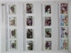 Delcampe - FAUNA 375 Sets Of WWF AND ENDANGERED WILDLIFE COLLECTION IN 3 NICE ALBUMS ! Ndw PF/MNH - Farfalle