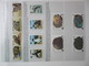 Delcampe - FAUNA 375 Sets Of WWF AND ENDANGERED WILDLIFE COLLECTION IN 3 NICE ALBUMS ! Ndw PF/MNH - Farfalle