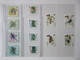 Delcampe - FAUNA 375 Sets Of WWF AND ENDANGERED WILDLIFE COLLECTION IN 3 NICE ALBUMS ! Ndw PF/MNH - Butterflies