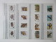 Delcampe - FAUNA 375 Sets Of WWF AND ENDANGERED WILDLIFE COLLECTION IN 3 NICE ALBUMS ! Ndw PF/MNH - Butterflies