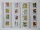 Delcampe - FAUNA 375 Sets Of WWF AND ENDANGERED WILDLIFE COLLECTION IN 3 NICE ALBUMS ! Ndw PF/MNH - Farfalle