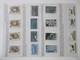 Delcampe - FAUNA 375 Sets Of WWF AND ENDANGERED WILDLIFE COLLECTION IN 3 NICE ALBUMS ! Ndw PF/MNH - Vlinders
