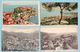 12 Carte Postale Ancienne - Monaco Monte Carlo  Ect - Sammlungen & Lose