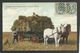 Canadian Harvesting Scenes: Loading Wheat -- ATTELAGE - MOISSON - AGRICULTURE - PAYSAN - Non Classés