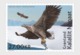 Groenland / Greenland - Postfris / MNH - Complete Set Joint-Issue TAAF 2017 - Nuevos