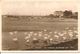 CPA-1940-GB-ILE WIGHT-BEMBRIDGE-THE HARBOUR-LE PORT-TBE - Cowes