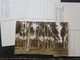 Oceanie Lot 4 Cpa  Iles Carolines - Micronesia