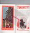 Delcampe - 06-NICE-TRES BEAU DEPLIANT TOURISTIQUE 1925-26-MAIRE PIERRE GAUTIER-LAFAYE- ILLUSTRATIONS ART DECO-IMPRIMERIE LEO BARMA - Tourism Brochures