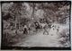 Promenade En Forêt Autour De TROYES ? Photo Vers 1890, Chevaux, Attelage, élégantes - Lieux