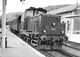 Train Des CFF Stationnant En Gare De DIVONNE LES BAINS En 1962 - Stations - Met Treinen