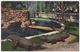 USA, El Paso TX, Alligator Pool, San Jacinto Plaza, C1940s Unused Vintage Texas Postcard M8757 - El Paso