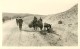 Delcampe - LOT DE 8 PHOTOS ALGERIE. + 2 CARTES DE VOEUX D'ALGER. - Afrique