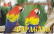 TARJETA DE ESPAÑA DE UNOS PAPAGAYOS LETRAS ROJAS (LORO-PARROT) - Parrots