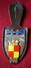 INSIGNE POMPIERS (pucelle)     SAPEURS POMPIERS De Tarbes - Pompieri