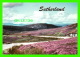SUTHERLAND, SCOTLAND -  THE WINDING MOORLAND ROAD BETWEEN MELVICH &amp; BETTYHILL ON THE NORTH COAST - ANNE BAXTER - - Sutherland