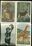 Delcampe - Beau Lot De 60 Cartes Postales Semi Modernes Gr. Format De Fantaisie Animaux Animal   Mooi Lot 60 Postk. Fantasie Dier - 5 - 99 Cartes