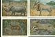 Delcampe - Beau Lot De 60 Cartes Postales Semi Modernes Gr. Format De Fantaisie Animaux Animal   Mooi Lot 60 Postk. Fantasie Dier - 5 - 99 Cartes