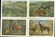 Delcampe - Beau Lot De 60 Cartes Postales Semi Modernes Gr. Format De Fantaisie Animaux Animal   Mooi Lot 60 Postk. Fantasie Dier - 5 - 99 Cartes