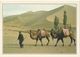 CPM  ___ Chine - Dunhuang - Chameaux Dans Les Dunes - Cina