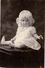 Foto  Photo - Meisje - Petite Fille - Little Girl - Baby - Photographe Cooley Studio USA - Non Classificati