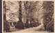 United Kingdom PPC Lime Tree Avenue, Aynho TUCK's Postcard (2 Scans) - Northamptonshire