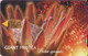 SURAFRICA. SAF-139C. Giant Protea (Ed. 01/2002). 15R. 2000. (530) - South Africa