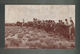 Mint Postcard Renegade Native Americans Indians Attacking Wagon Train - Native Americans