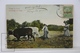 Old Postcard - Greece - Tillage In Crete, Labourage En Crete. Posted 1910 - Grecia