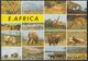 Kenia  East Afrika - Wildlife - Animals - 2x Nice Stamps - Kenia