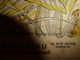 1949 LSDS : Le Train De La Reconnaissance Des Français Aux USA; La CIGALE Et Le Cannibale; Etc - La Semaine De Suzette