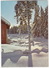 Vinter I Norge - (Winter Wonder Land) - (Norge/Norway) - Noorwegen