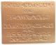 Médaille  Bronze Oeuvre Nationale Des Beaux-arts. Dolf Ledel. 67x55mm - 105 Gr - Professionnels / De Société