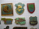 Lot De 20 Pin's  ASSOCIATON DE PECHE, SENSAS, CAPE GENI, AAPP...... - Lots