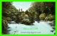 GLENGARRIF, IRLANDE - CROMWELL'S BRIDGE - ANIMATED - LAWRENCE, PUBLISHER - - Cork