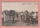 OLD PHOTO CARD   RUSSIA   KAZACHSTAN - KAZAKHSTAN - BALKHASH - SOCIAL LIFE - TYPE - Kazakhstan