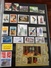 Delcampe - ALBUM FRANCE 1988 A 2004 - TIMBRES NEUFS- VAL EURO SUP PRIX VENTE - Collections