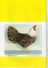 SELECTIONS AVICOLES AVICULTURE COLOMBICULTURE CUNICULTURE  FEVRIER 1998  No 367 - Animaux