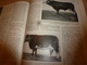 Delcampe - 1955 N° SPECIAL De La Revue De L'Elevage BETAIL & BASSE-COUR--->CHOIX Et UTILSATION Des REPRODUCTEURS ; Etc - Animals