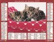 Almanach Du Facteur 2015  OBERTHUR LA POSTE AISNE 02 Chatons - Grand Format : 2001-...