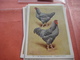 11 Cards Chromos 10cmX15cm  - Advertsing Around 1950, Chicken Cock, Rooster, Poultry, Kip, Most Backs With Glue Remains - Animals