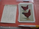 11 Cards Chromos 10cmX15cm  - Advertsing Around 1950, Chicken Cock, Rooster, Poultry, Kip, Most Backs With Glue Remains - Animals